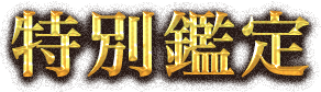 特別鑑定 特別鑑定